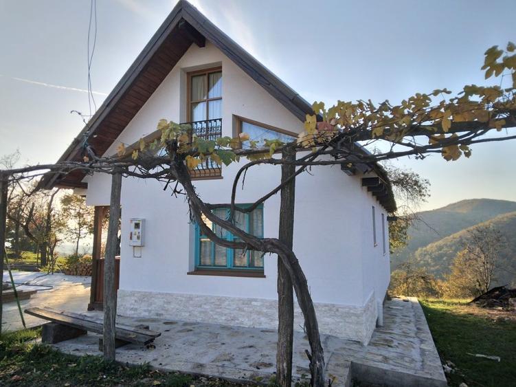 Vand casa la munte, in Dulcele, com. Gurahont, jud. Arad - 1