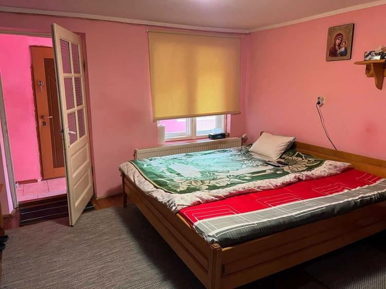 Pret actualizat | Proprietar vand casa la munte cu 6.019 mp teren, gradina, livada, utilitati complete Bacaia (Geoagiu) - 6
