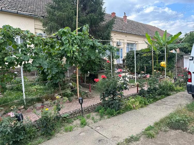 Casa de vanzare sandra - 7