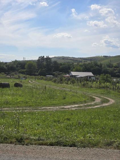 Teren intravilan de vanzare - 5