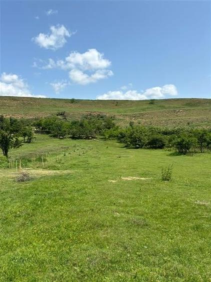 Casa cu teren 2741 MP la doar 6 km de Bod in Araci sau schimb cu apartament in B - 4