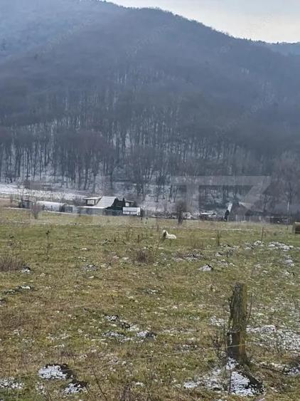 Oportunitate!!!! TEREN INTRAVILAN CU SUPRAFATA DE 5200 MP - 4