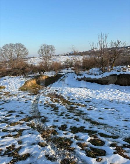 Teren partial intravilan 1914 mp, extravilan 7186 mp, in loc - 3