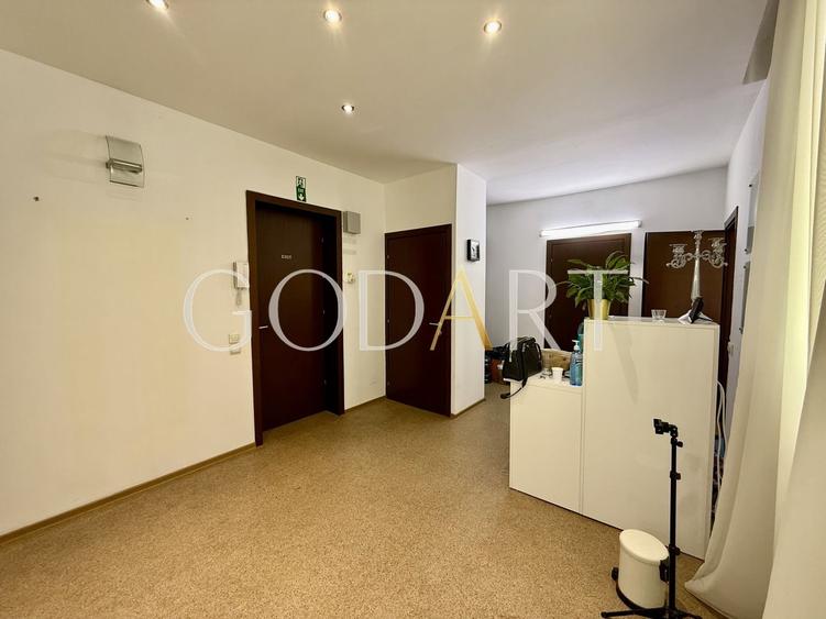 Apartament in vila | Ultracentral | 2 intrări | Garaj | Renovat - 10