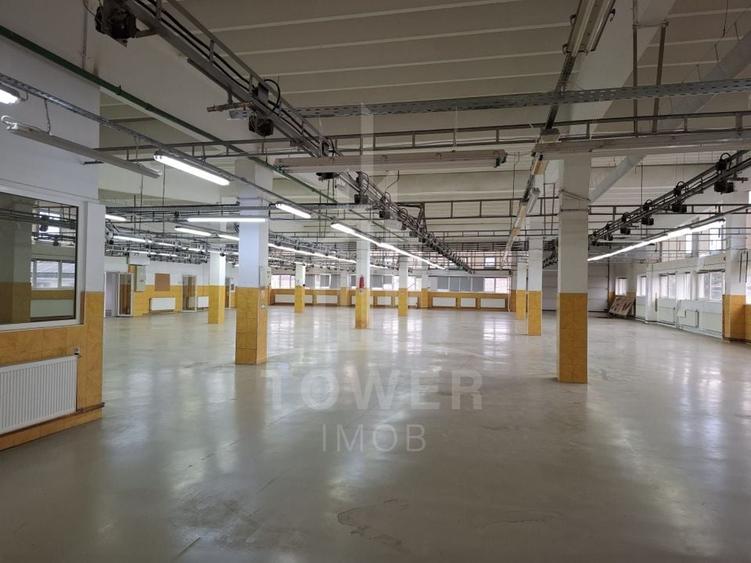 Hală de producție / depozitare – 1.300 mp utili, etaj 1, zona centrala - 3