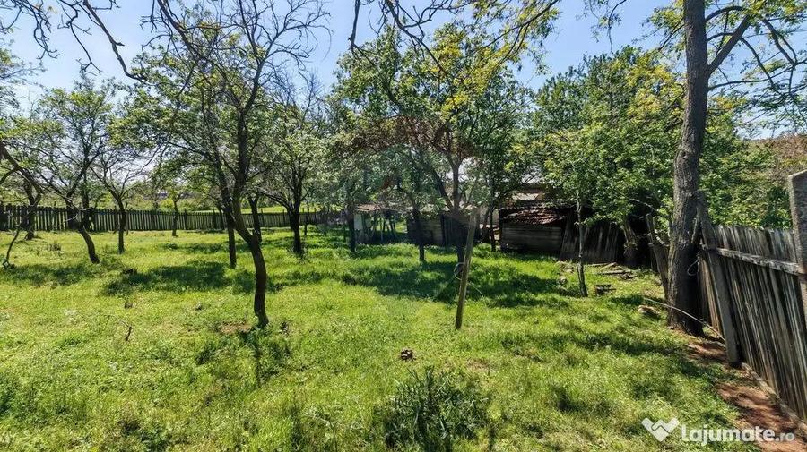 Tere cu constructie de vanzare in Urlati - 6