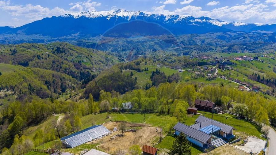 Teren intravilan- Sat Pestera/ 1000 mp! Priveliste de Poveste! - 8
