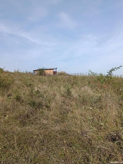 Teren de vanzare in Cluj strada Odobe?ti - 6