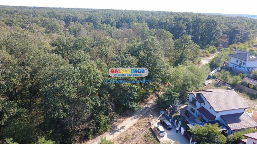 Vila cu garaj Padurea Pantelimon - 4 camere - 2