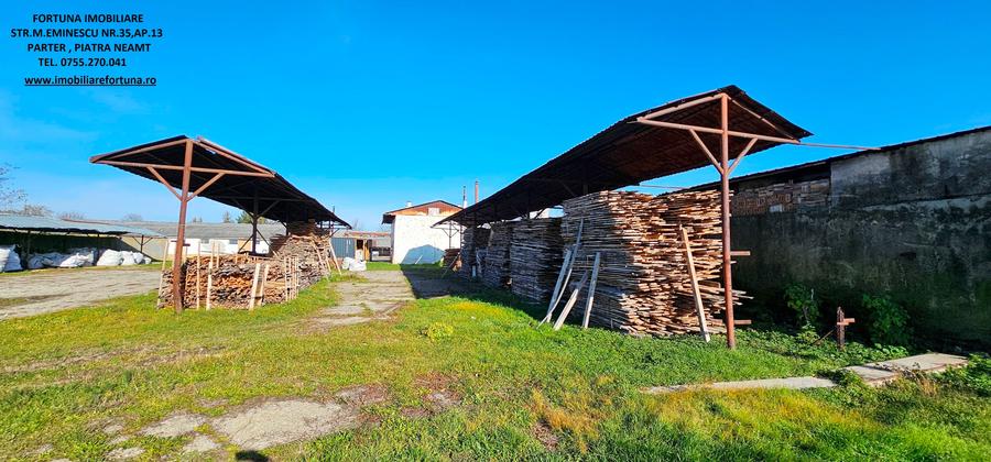 Complex imobiliar format din cladiri si constructii industriale+teren intravilan - 9