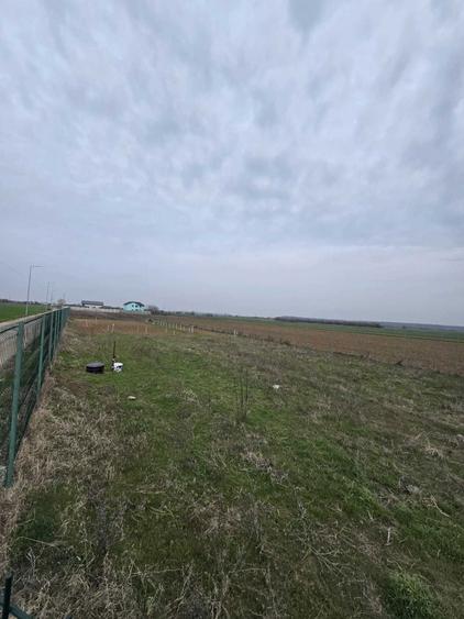 Terenuri de vanzare - Ilfov, Copaceni - 2