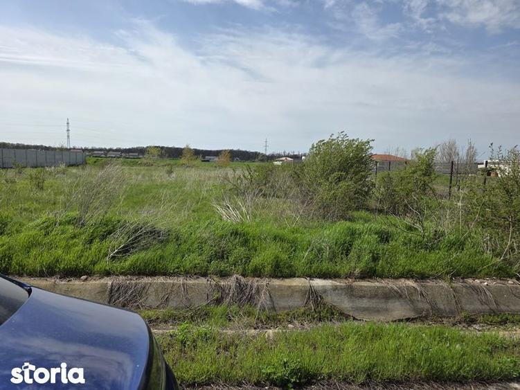 Cornetu, Buda, str. Scolii, teren vanzare - 4