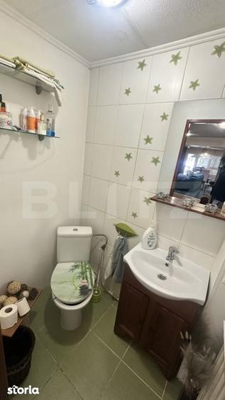 Casa spatioasa, complet mobilata, cu piscina si panouri fotovoltaice i - 9