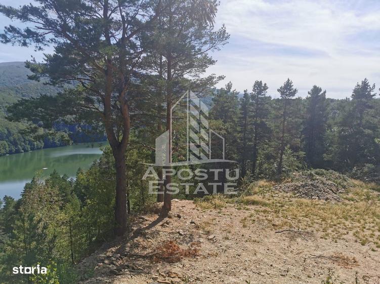 Teren intravilan, 2000mp, cu vedere panoramica spre lacul Valiug - 7