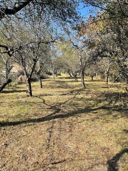 Casa, curte spatioasa si teren de vanzare - sat Motaieni, Dambovita - 1