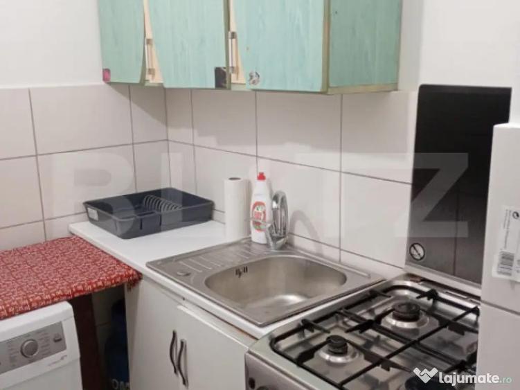 Camera de camin, 17 mp, zona Nicolina - 1