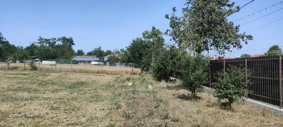 Teren de inchiriat 2200m ,Com Borcea (CL), term lung-INTRAVILAN - 9