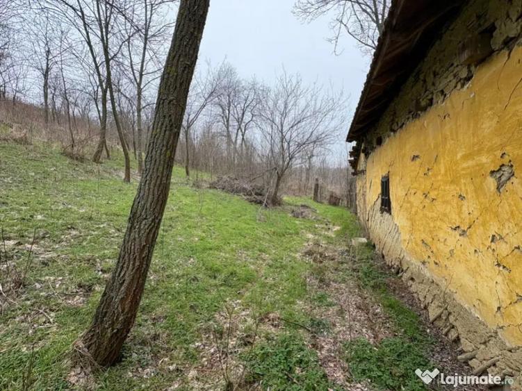 Teren 2.038 mp + Casa 50 mp de vanzare Sat Luncsoru, C - 9