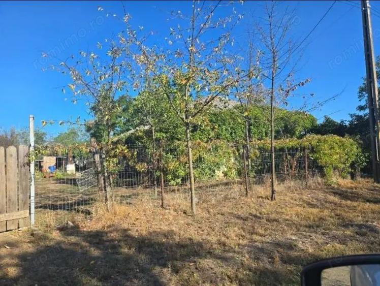 Casa si teren-Com Tamadau Mare, jud. Calarasi - 1