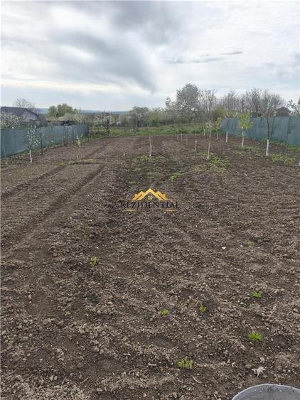 CASA DE VACANTA SI TEREN - 3