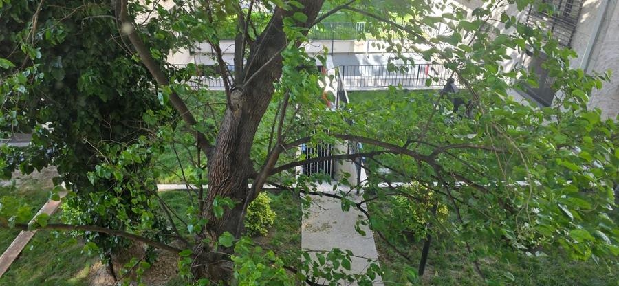 CASA DE CULTURA - SPITAL GARSONIERA CU BALCON ETAJ 2 PRET 42.900 EURO - 8