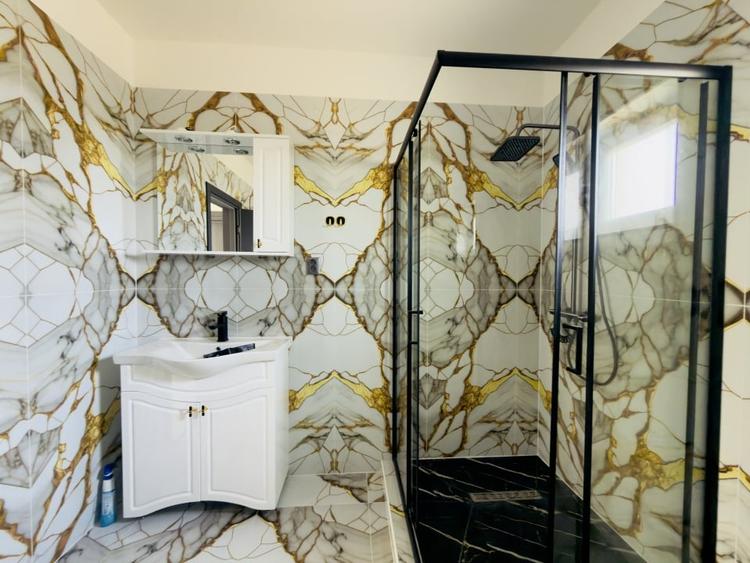 Duplex despartit prin camera tehnica, 3 camere - Beregsau Mare - 10