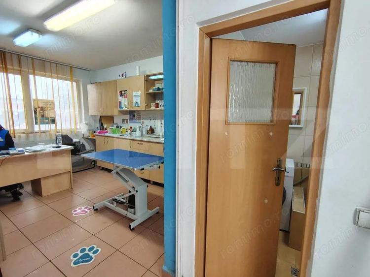 Casa individuala cu ghereta separata pretabila la activitati comerciale, Marasti - 12