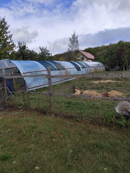 Casa de vanzare Lunca Mare - 1