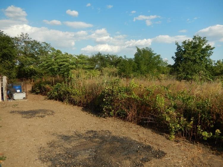 Calugareni-Branistari-casa 4 camere, teren 1965 mp, curent, put, libera,69900 € - 31