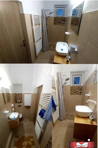 Garsoniera decomandata Bd. Victoriei, laga Parcul Sub Arini - 4