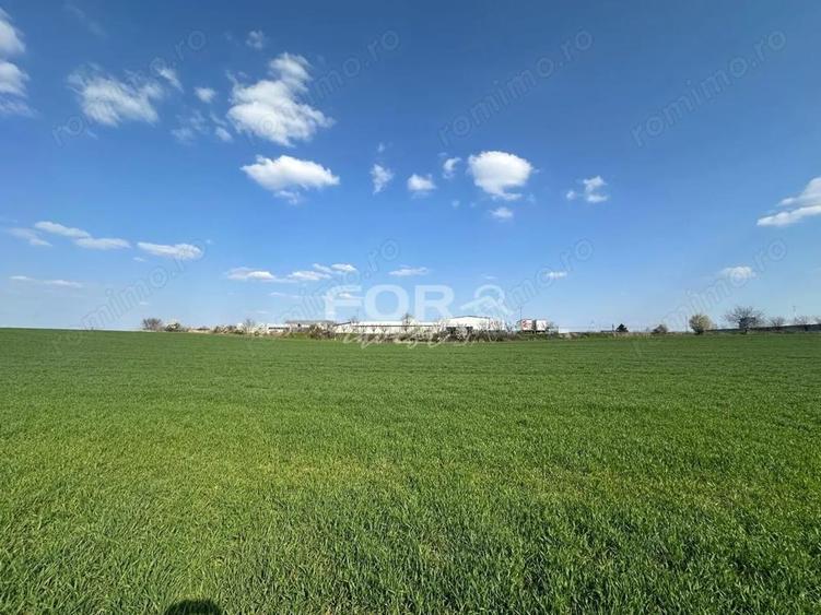 Teren intravilan de vanzare 1000 mp zona Aeroport Oradea - 1