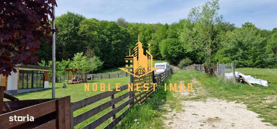 Teren extravilan 2200 mp - Budeasa Mica, Arges - 2