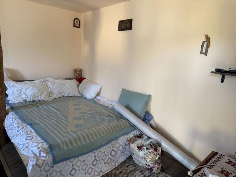 Vand teren cu o casa si o cabanuta - 4