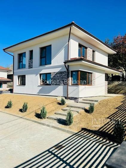 Ansamblu de 3 case la vanzare  in Chinteni!