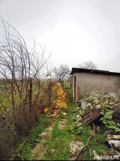 Casa + 1700 m teren in Vitane?ti, Teleorman 35.000 (negociabil) - 1