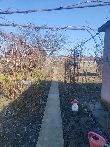 CASA CU TEREN 838 MP ZONA STEAUA - 19