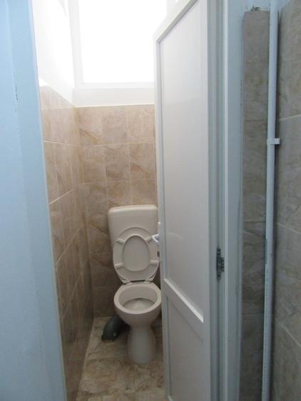 Inchiriere Spatiu Comercial Teiul Doamnei - 40