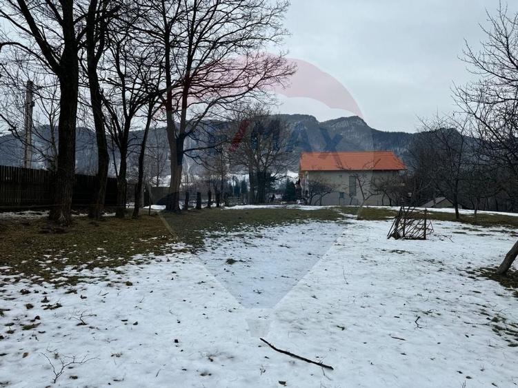 Teren Zarnesti /Bran/Predelut6 Strada Pe tarina - 7