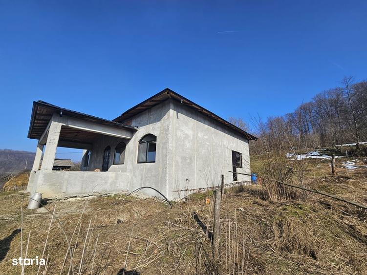 Casa pe platou, lini?te ?i natura Bo?e?ti, Arge? - 17