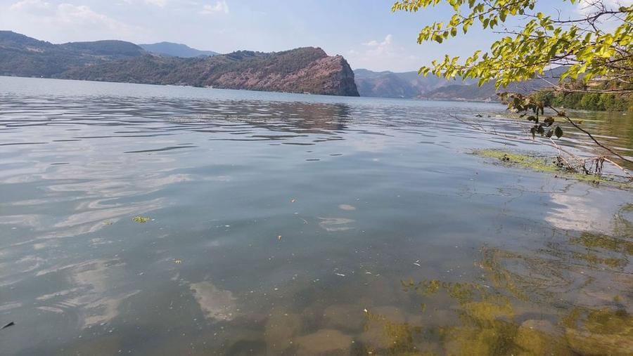 Teren Svinita Clisura Dunarii - 6