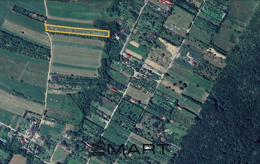 Teren extravilan 3200mp zona Tropinii Vechi - 3