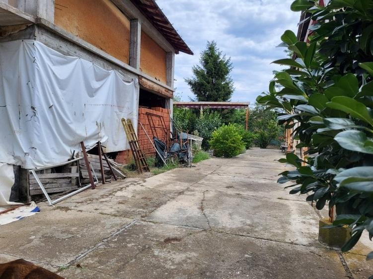 VANZARE  PROPRIETATE CIOFLICENI /TEREN GENEROS/POTENTIAL RIDICAT - 10