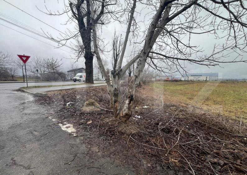 Teren extravilan 1578 mp | Zona Nata?ie Targovi?te | Ide - 1