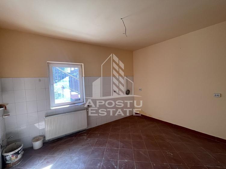 Spațiu comercial, de 100 mp, în Elisabetin