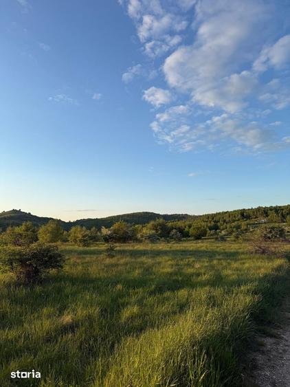 Teren de 1050 mp, în Ciurila