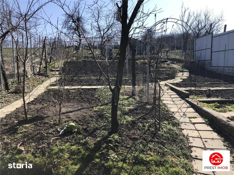 Casă cu 3 camere cu Teren 1100 Mp în Pănet
