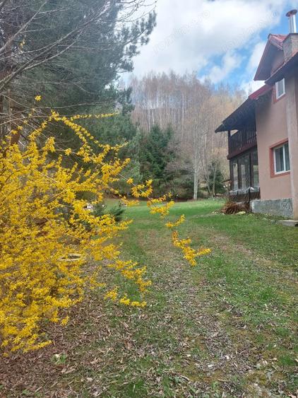 Casă cu 5 camere cu Teren 1100 Mp în Poiana