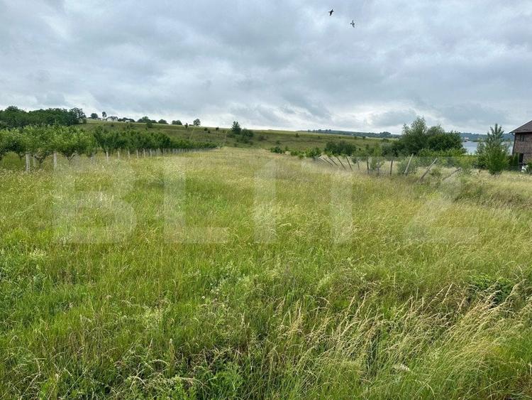 Teren Construcții intravilan de 5200 mp, în Rădăuți