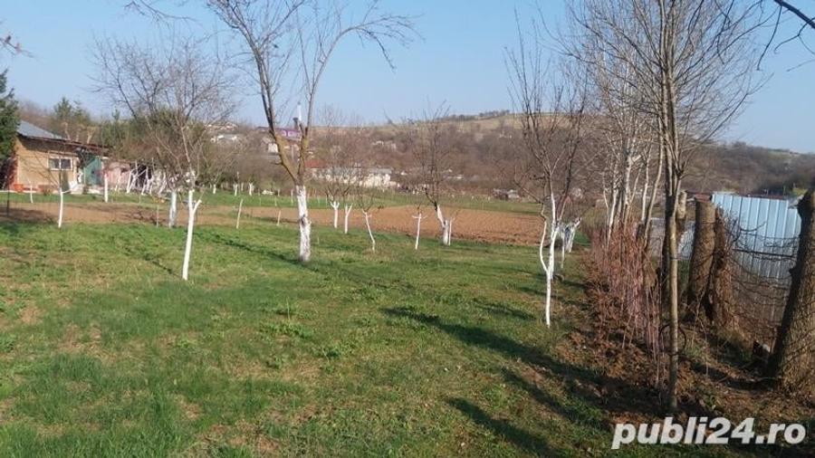 Teren de 2200 mp, în Central