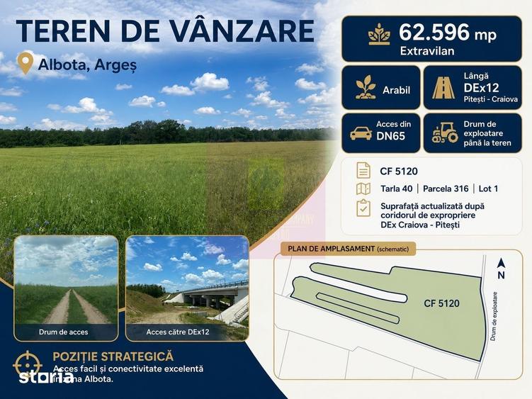 Teren de 62600 mp, în Albota